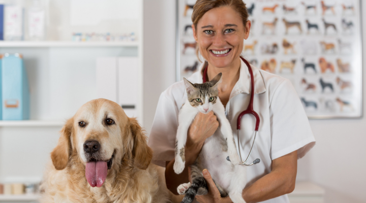 Email Marketing for Veterinary and Animal Clinics